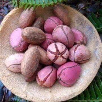 What is the meaning of Igbo Kola nut ritual 4 Igbo Kola nut ritual