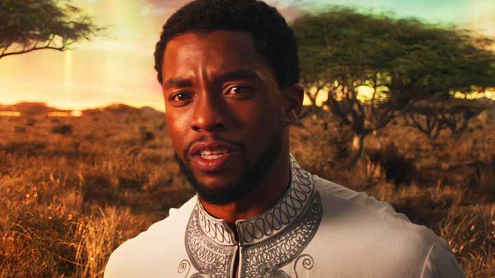 t challa telling his ancestors they were wrong in black panther