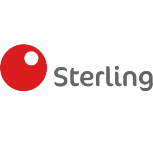 e1de8679 ng sterln logo5319287806676300127