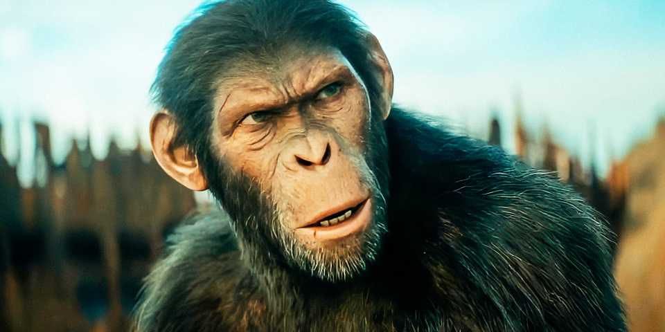 A Primatologist Explains the Big Mistake in Planet of the Apes 3 A Primatologist Explains the Big Mistake in Planet of the Apes